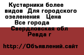 Кустарники более 100 видов. Для городского озеленения › Цена ­ 70 - Все города  »    . Свердловская обл.,Ревда г.